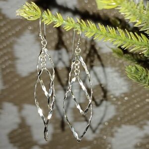 Elegant Silver Dangle Earrings